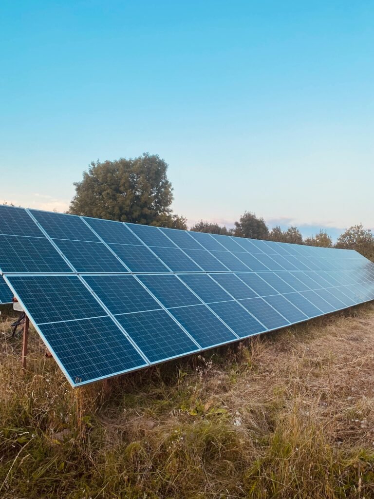 pexels-photo-33813856-33813856 Rows of solar panels in a field harness clean energy under a clear blue sky.